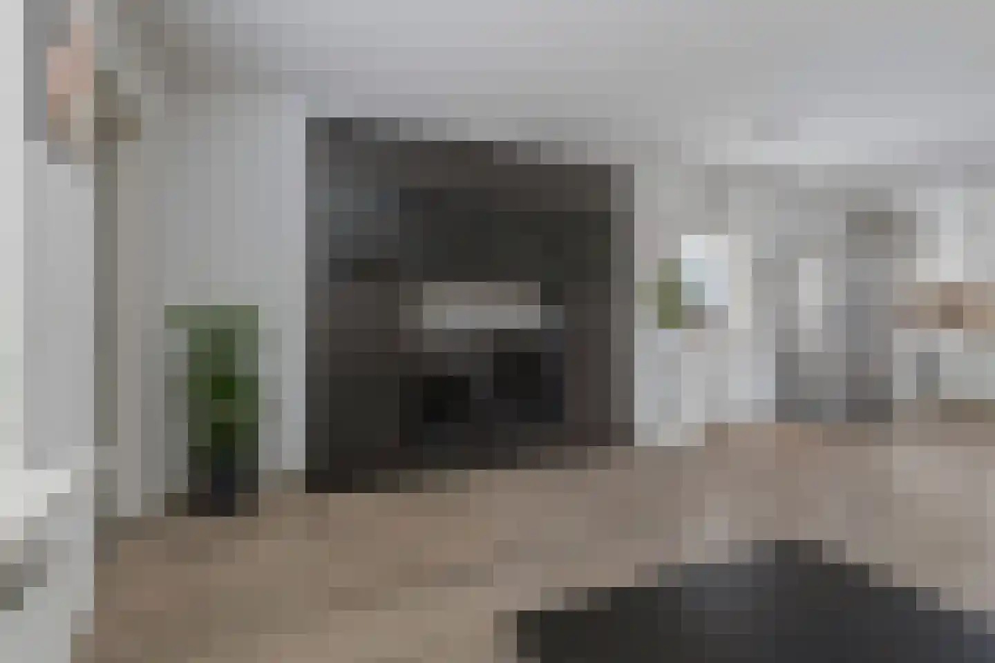Zilverfazant 2 Nieuwegein thumbnail 9