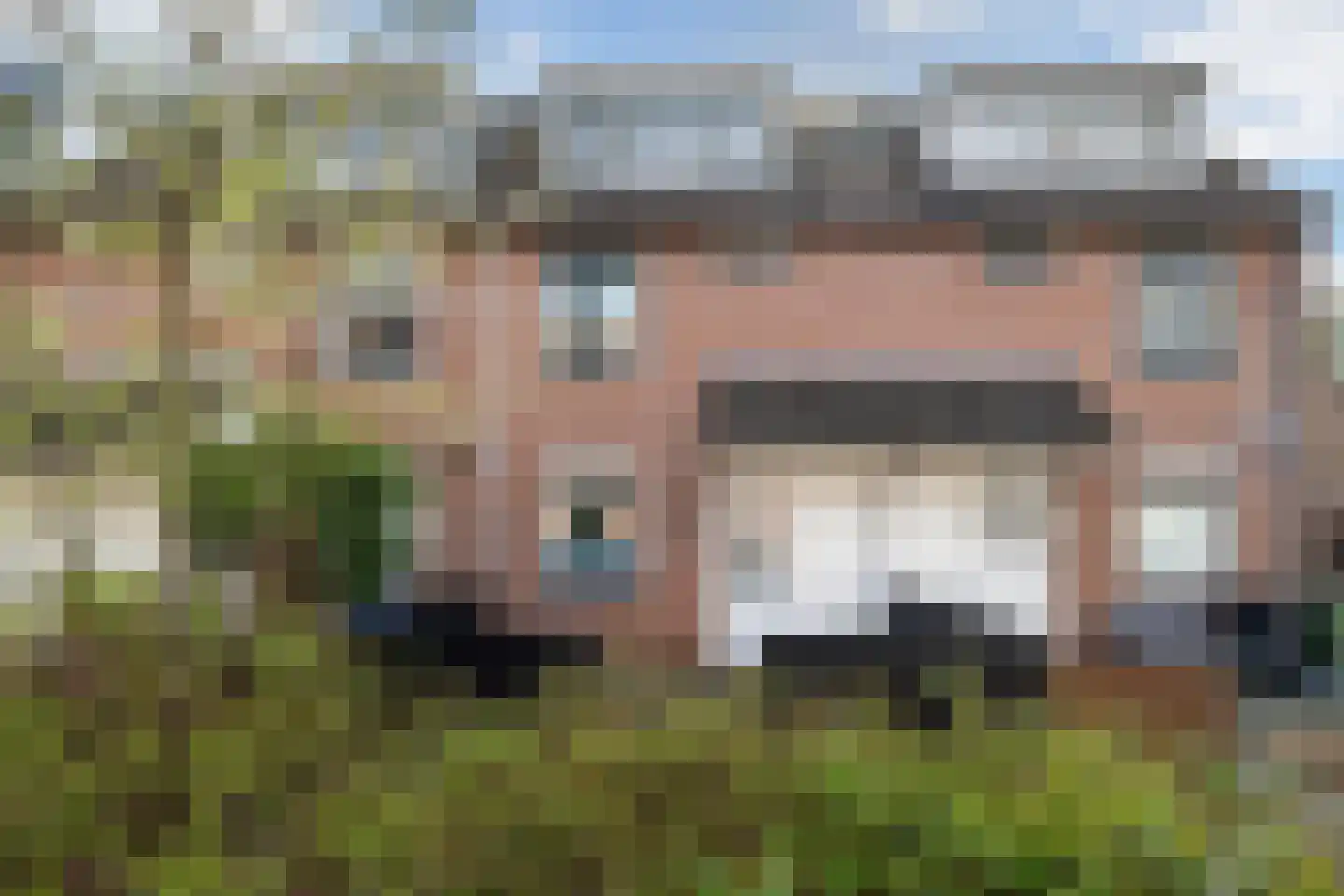 Zilverfazant 4 Nieuwegein