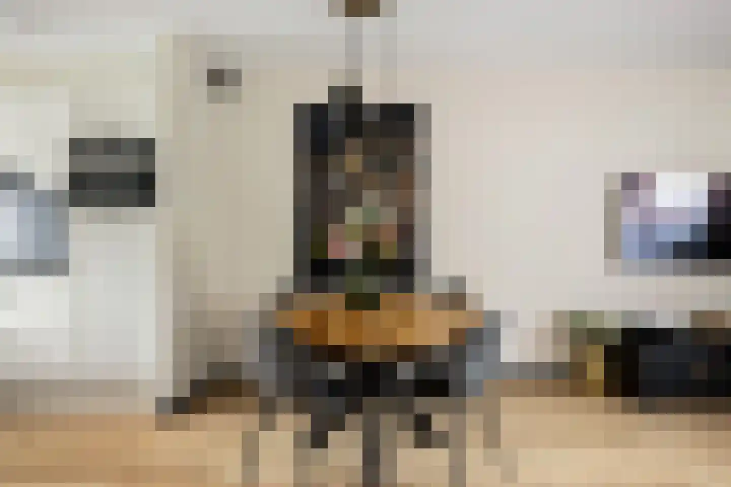 Zilverfazant 4 Nieuwegein thumbnail 12