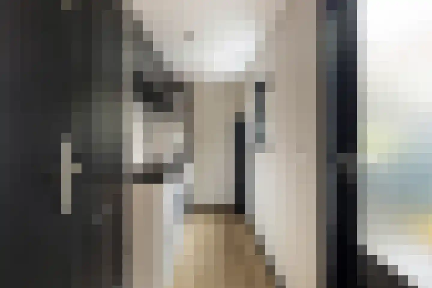 Zilverfazant 4 Nieuwegein thumbnail 19