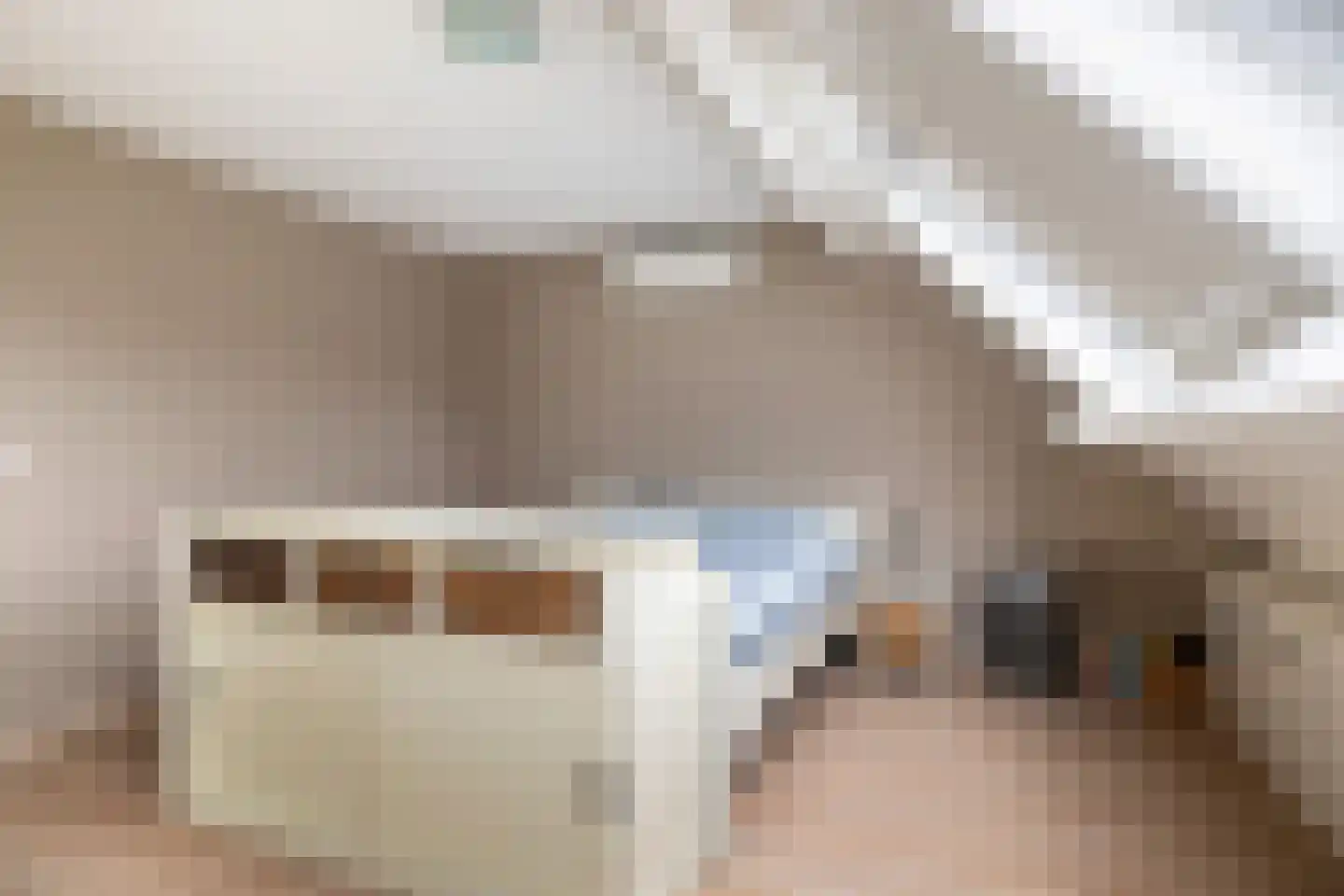 Zilverfazant 4 Nieuwegein thumbnail 25