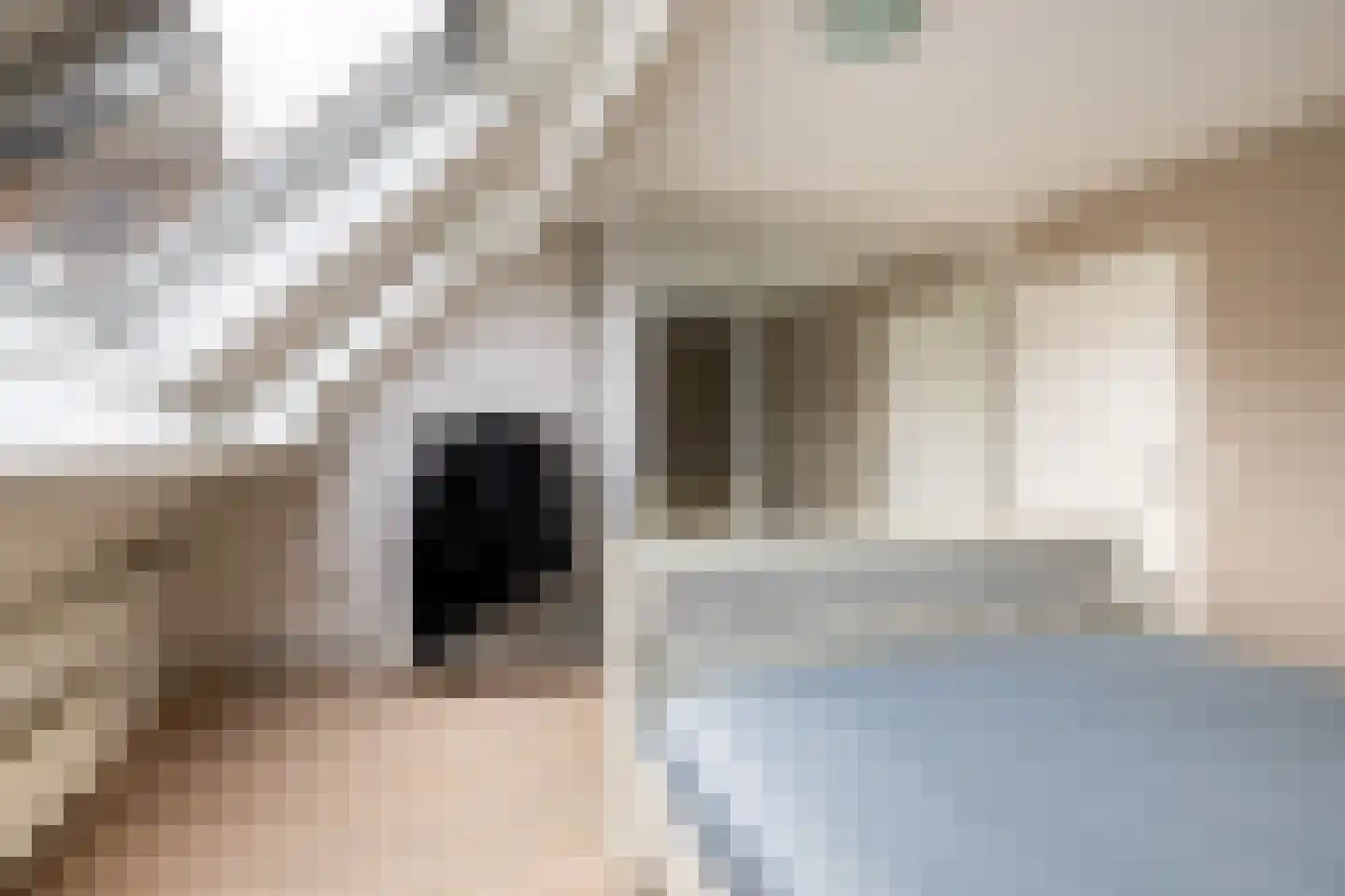 Zilverfazant 4 Nieuwegein thumbnail 26
