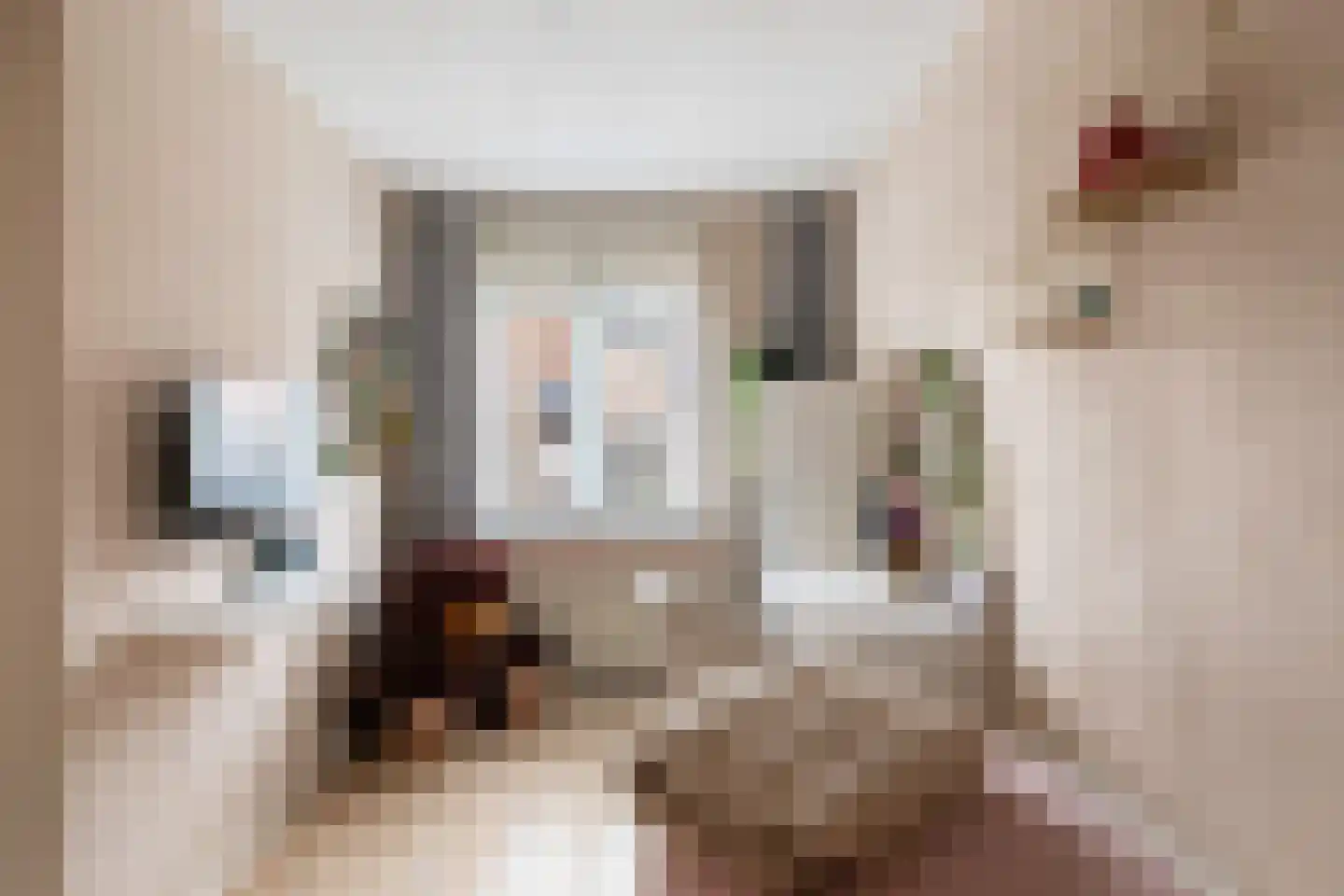 Zilverfazant 4 Nieuwegein thumbnail 27