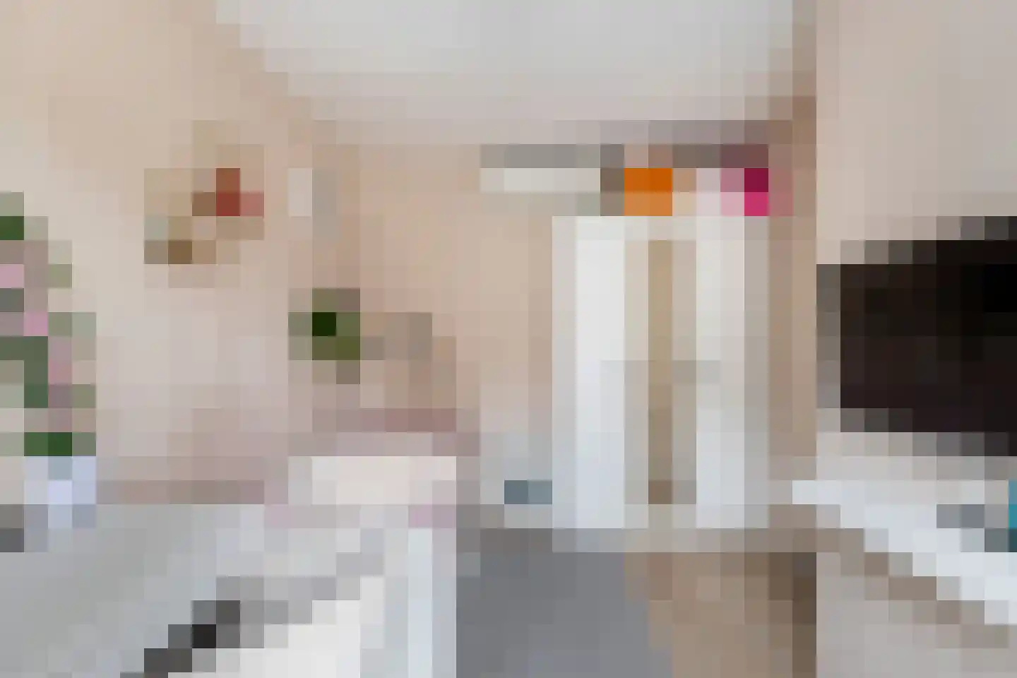 Zilverfazant 4 Nieuwegein thumbnail 28