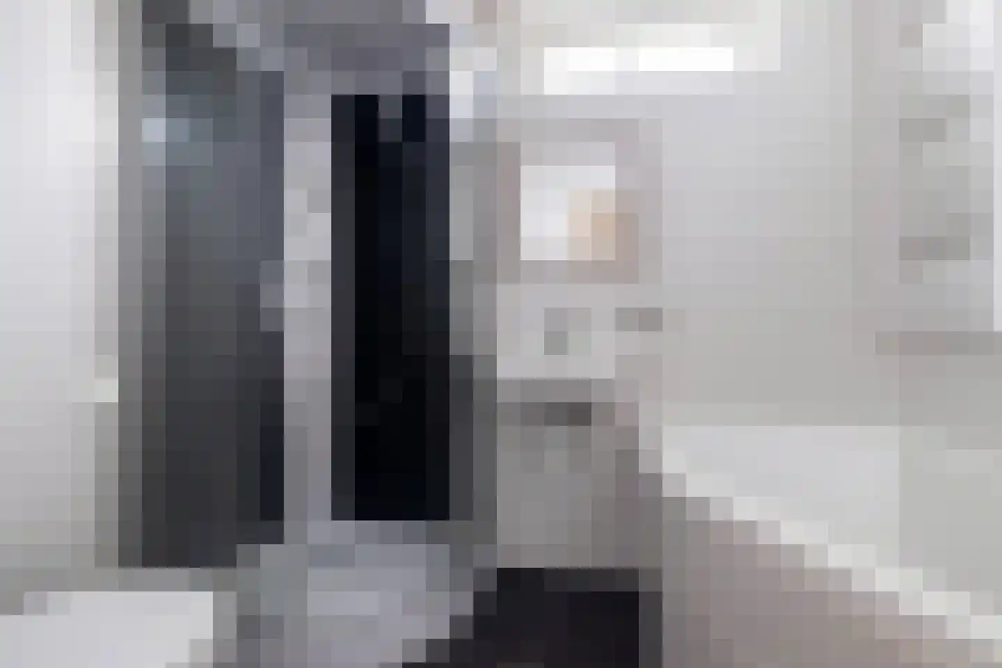 Zilverfazant 4 Nieuwegein thumbnail 29
