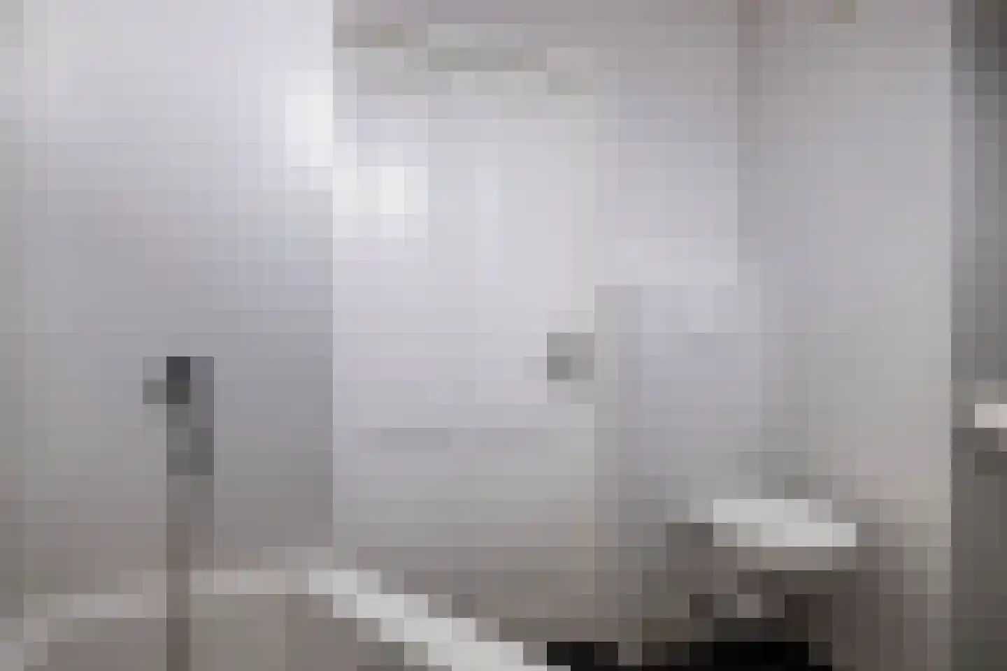 Zilverfazant 4 Nieuwegein thumbnail 30