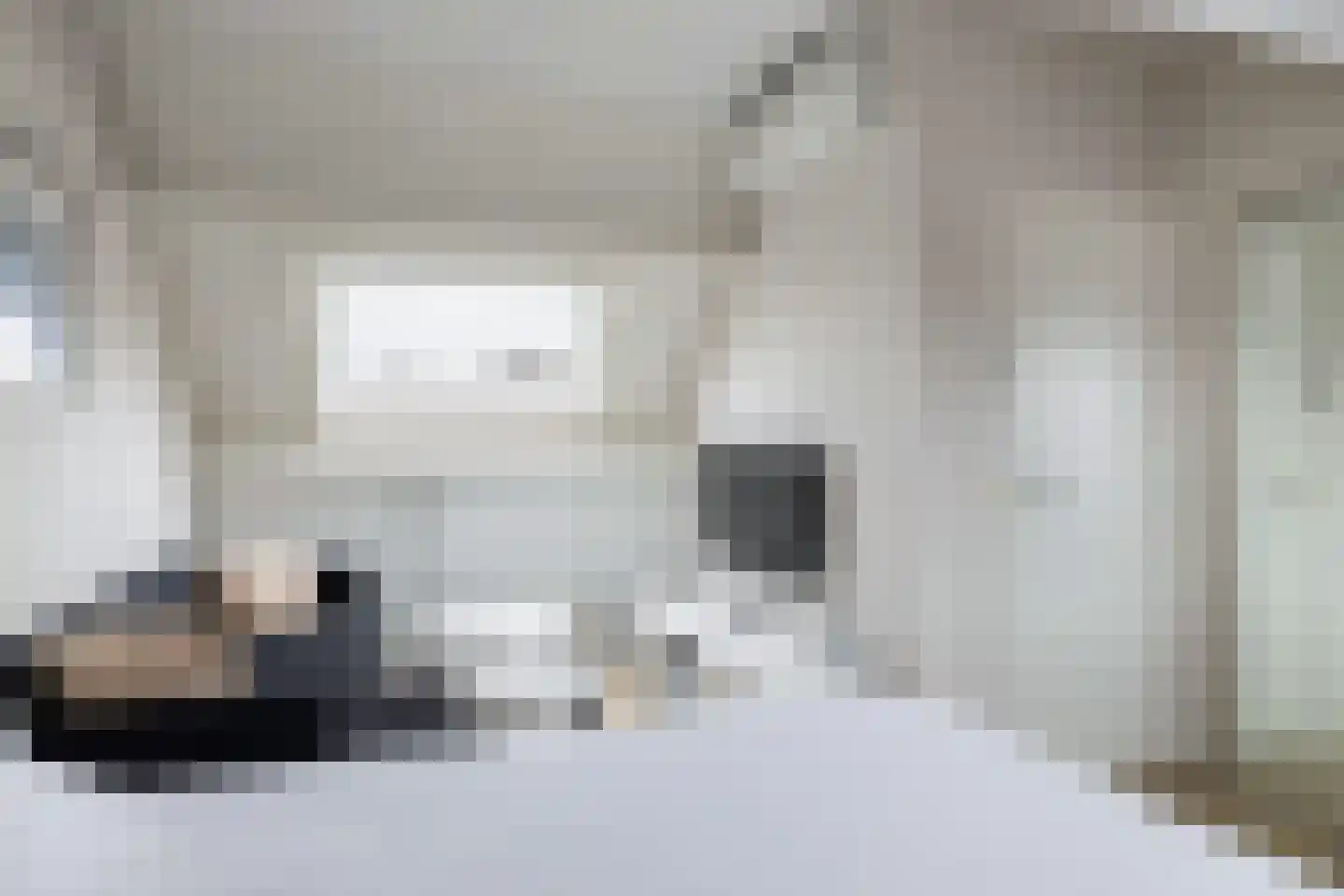 Zilverfazant 4 Nieuwegein thumbnail 33