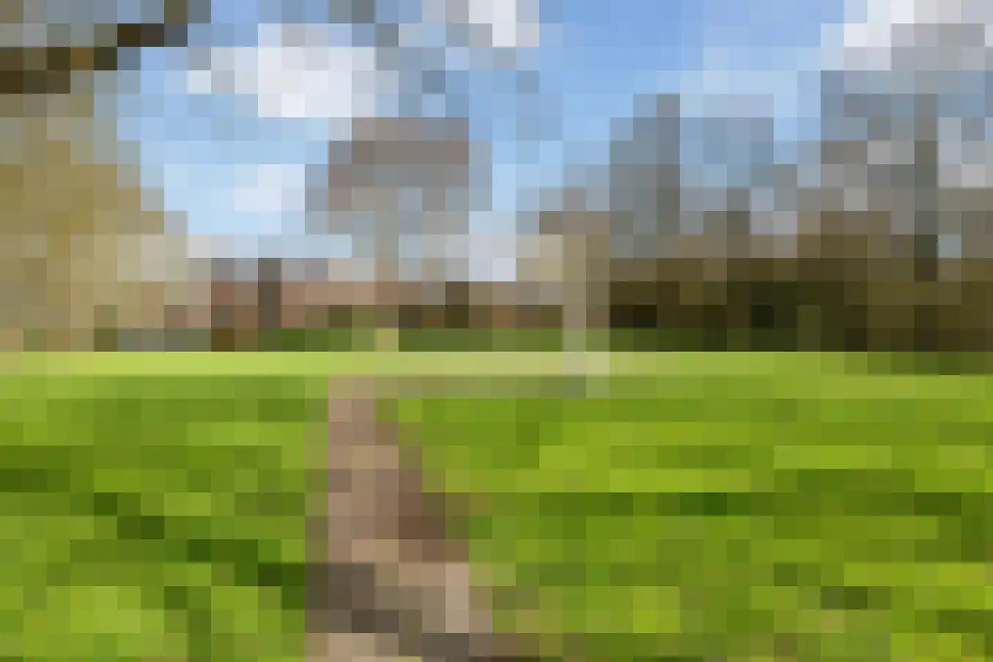 Zilverfazant 4 Nieuwegein thumbnail 37
