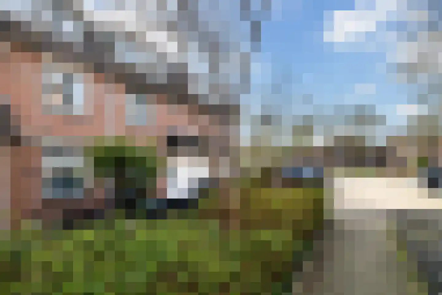 Zilverfazant 4 Nieuwegein thumbnail 6