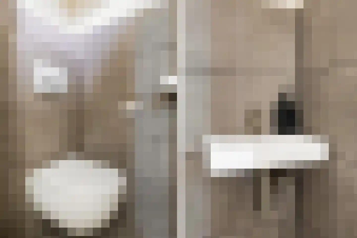 Zilverfazant 4 Nieuwegein thumbnail 8