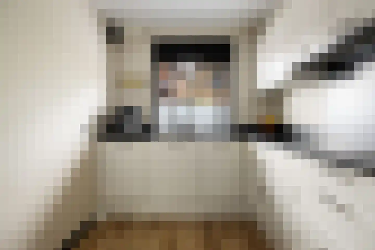 Zilverfazant 4 Nieuwegein thumbnail 9