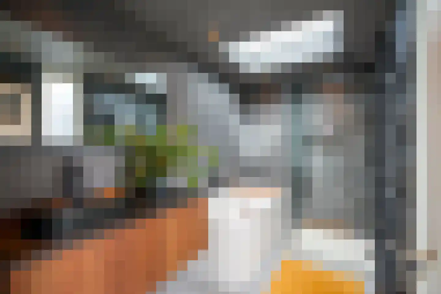 Zilvergeldstraat 1 Utrecht thumbnail 17