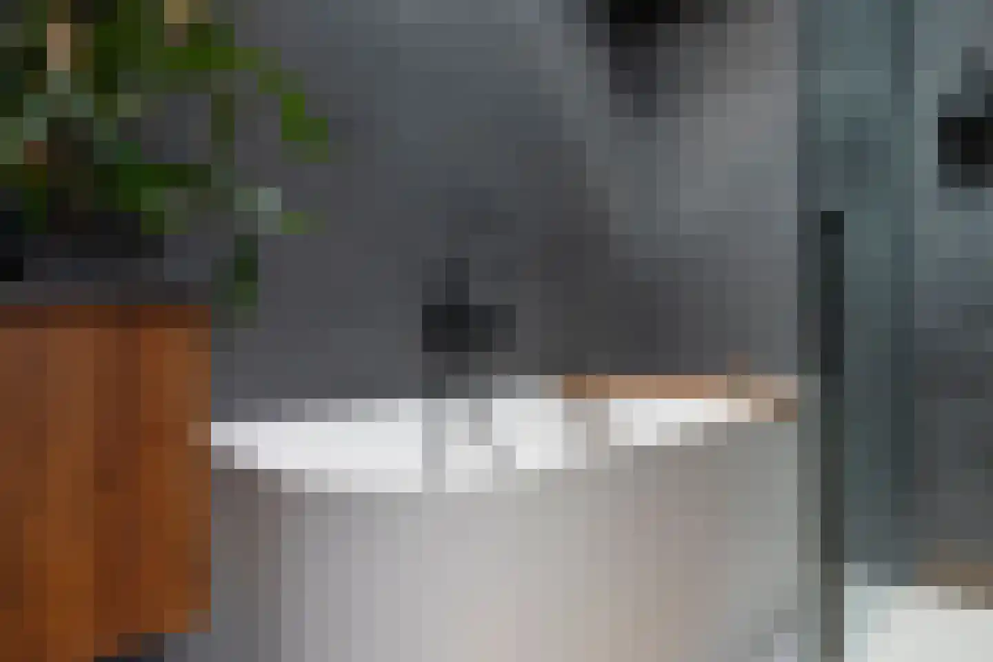 Zilvergeldstraat 1 Utrecht thumbnail 4