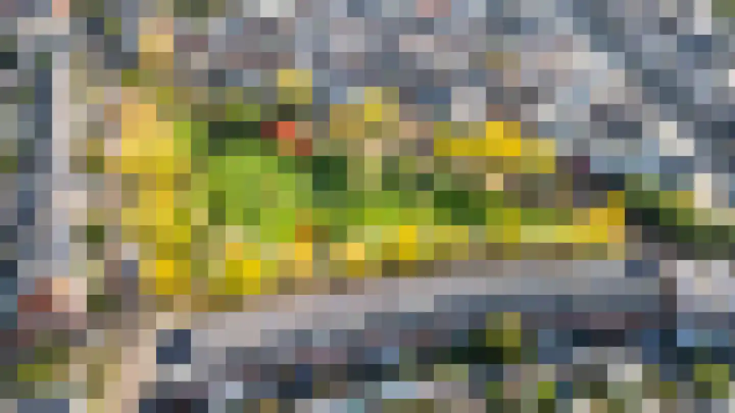 Zilvergeldstraat 1 Utrecht thumbnail 49