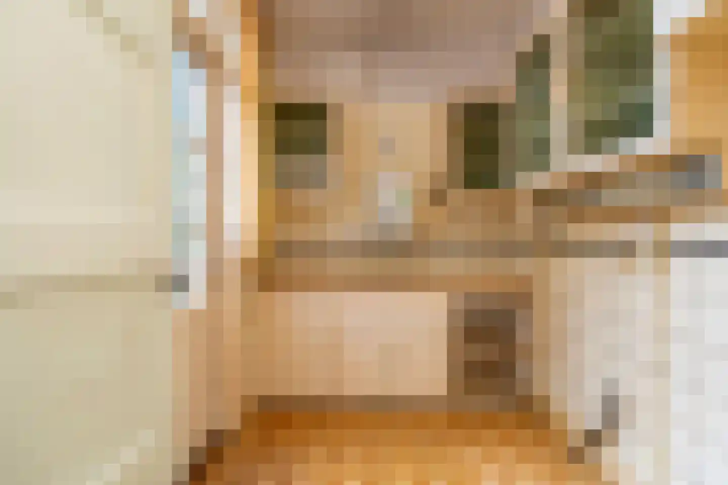 Zilvergeldstraat 17 Utrecht thumbnail 14
