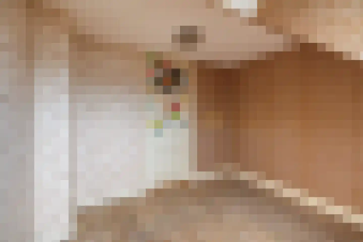 Zilvergeldstraat 17 Utrecht thumbnail 34