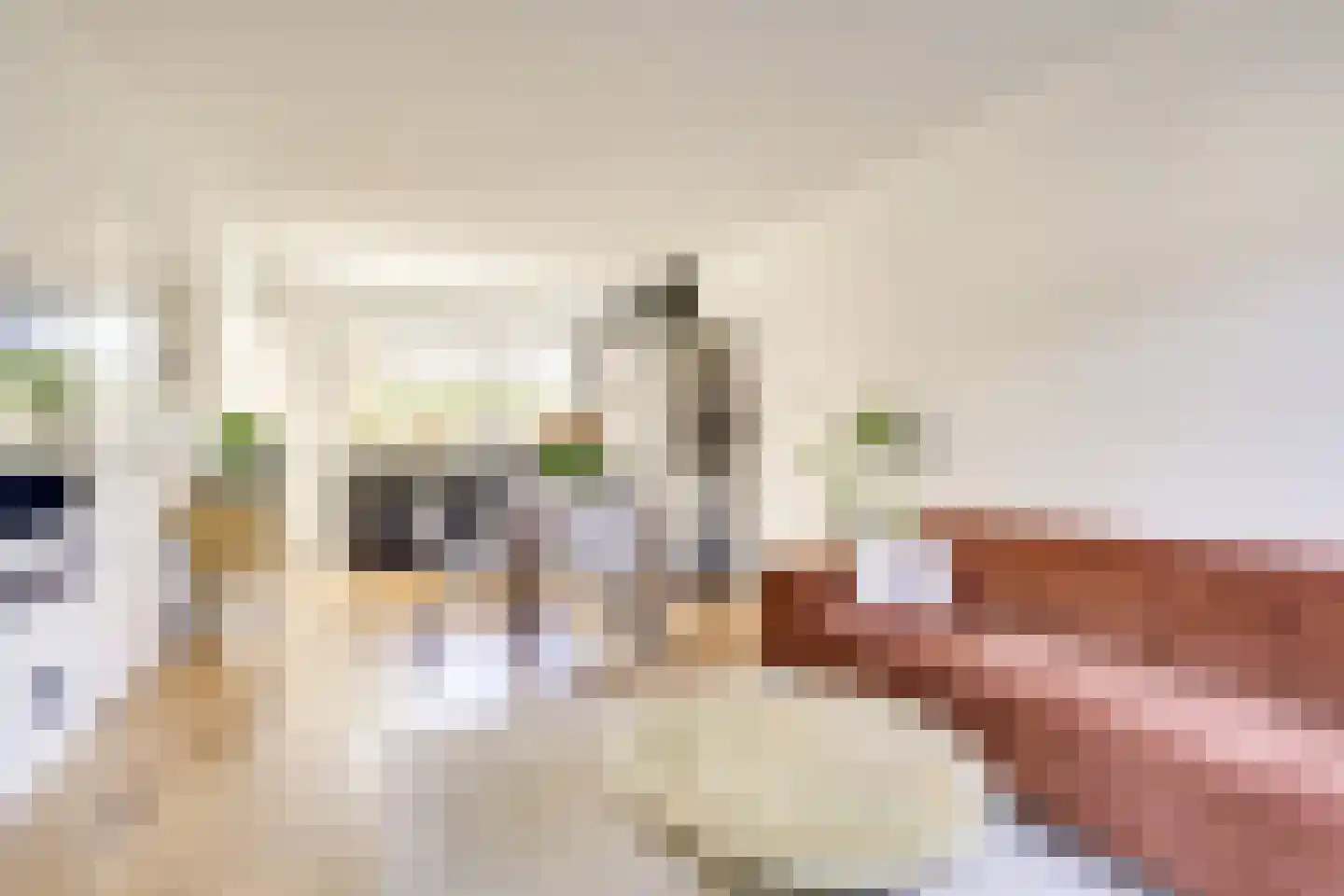 Zilvergeldstraat 31 Utrecht thumbnail 11