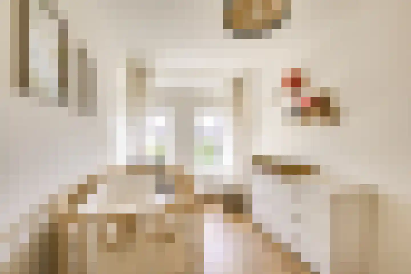 Zilvergeldstraat 31 Utrecht thumbnail 23