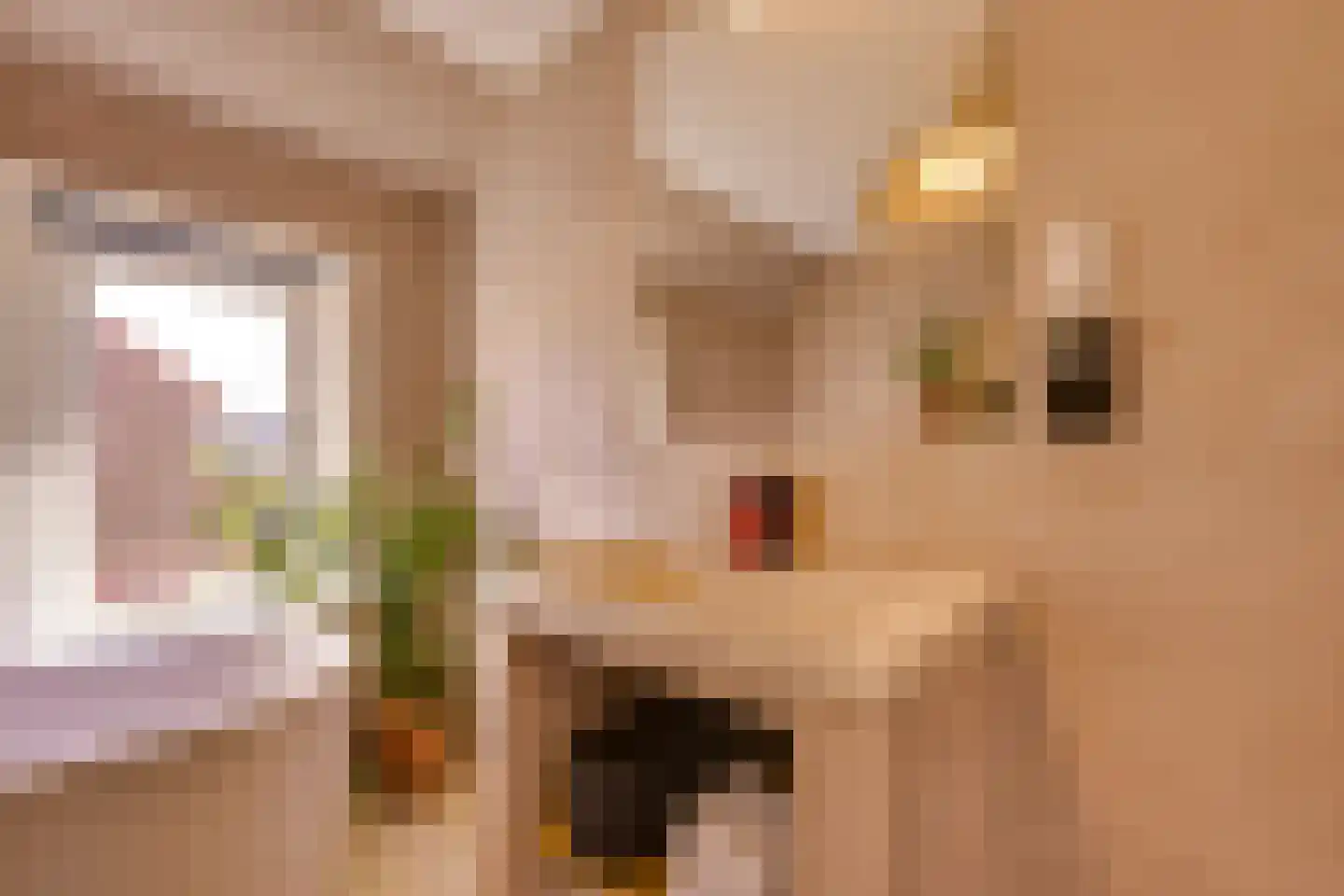 Zilvergeldstraat 31 Utrecht thumbnail 26