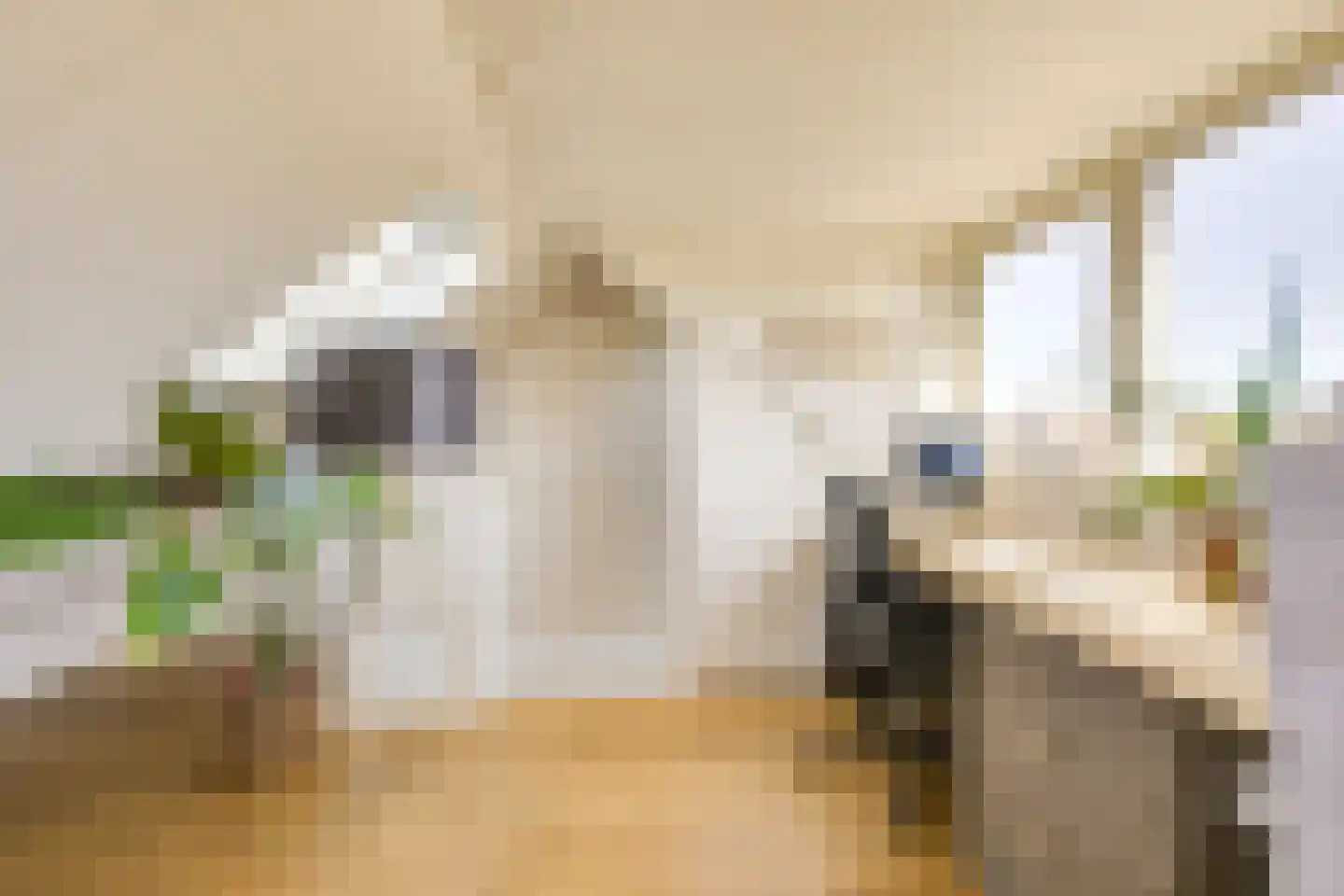 Zilvergeldstraat 31 Utrecht thumbnail 31