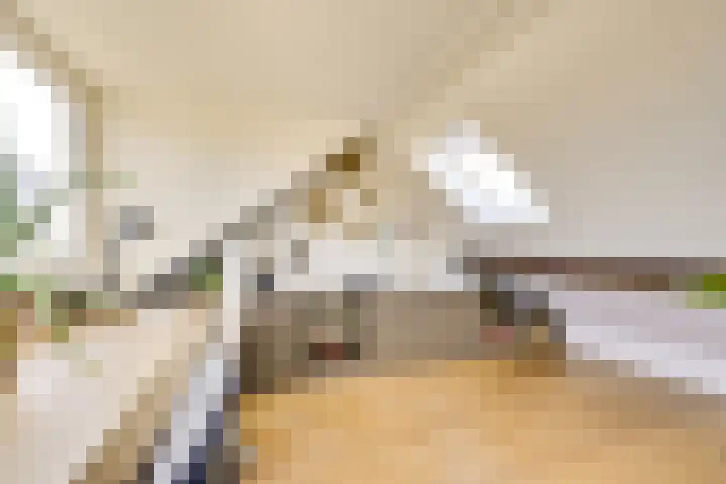 Zilvergeldstraat 31 Utrecht thumbnail 32