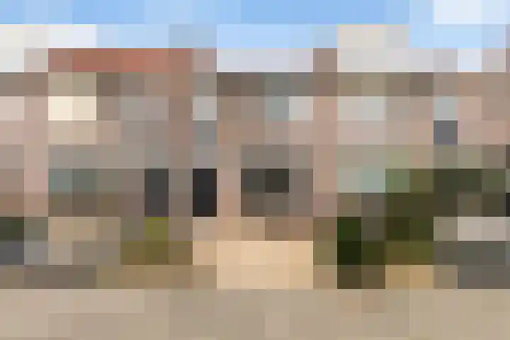 Zilvergesp 9 Volendam