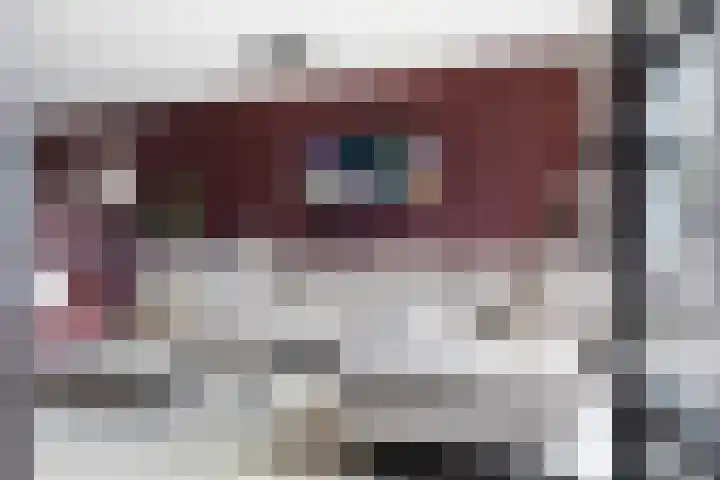 Zilvergesp 9 Volendam thumbnail 6