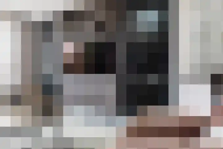Zilvergesp 9 Volendam thumbnail 8