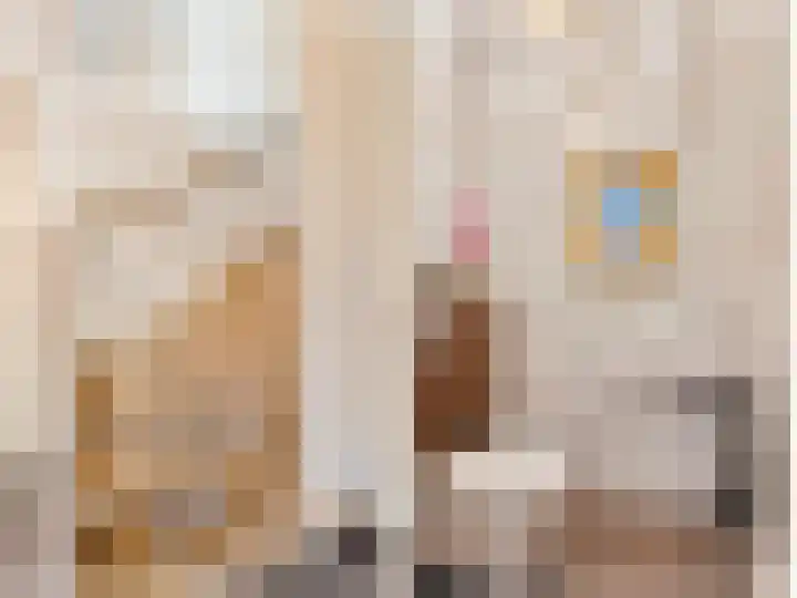 Zilvergloed 13 Rhoon thumbnail 12