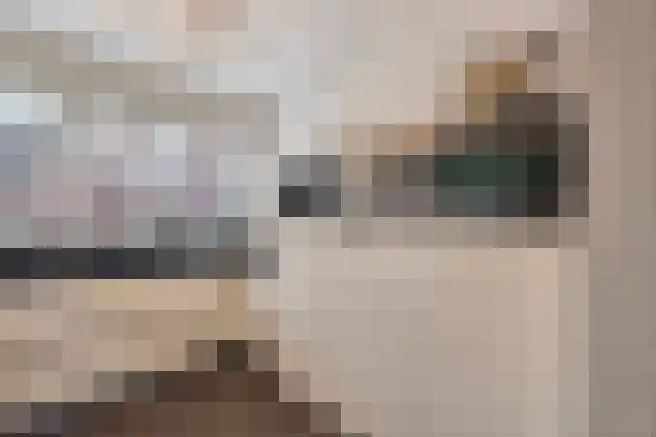 Zilvergloed 13 Rhoon thumbnail 22