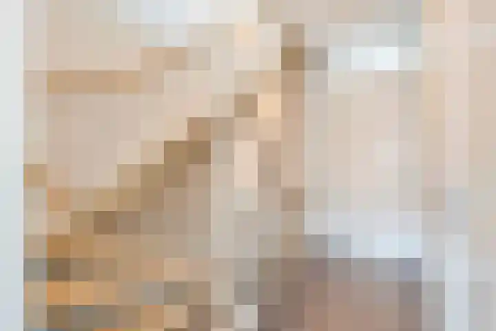 Zilvergloed 13 Rhoon thumbnail 23