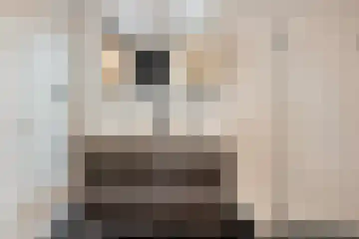 Zilvergloed 13 Rhoon thumbnail 28