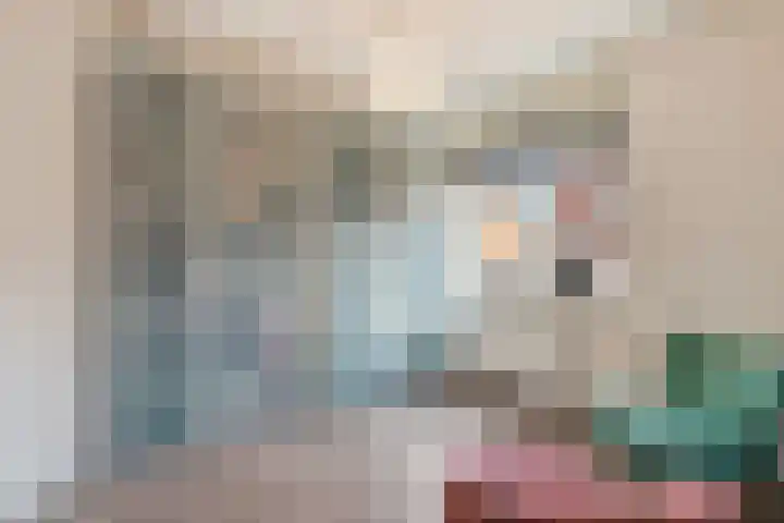 Zilvergloed 13 Rhoon thumbnail 29