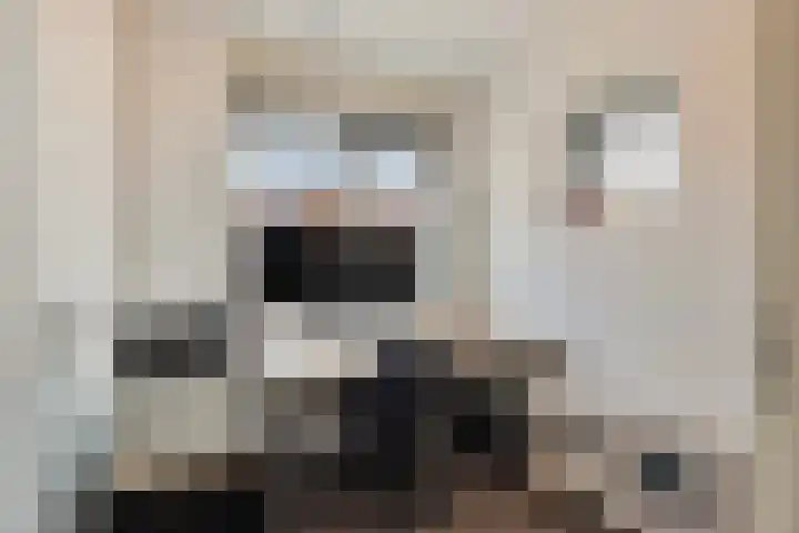 Zilvergloed 13 Rhoon thumbnail 31