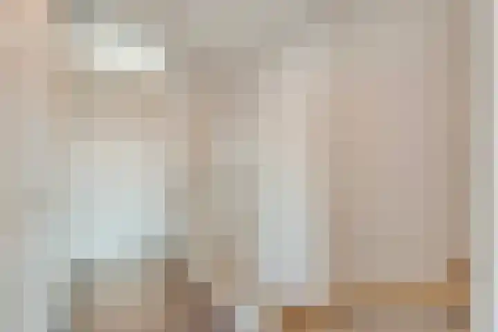 Zilvergloed 13 Rhoon thumbnail 32