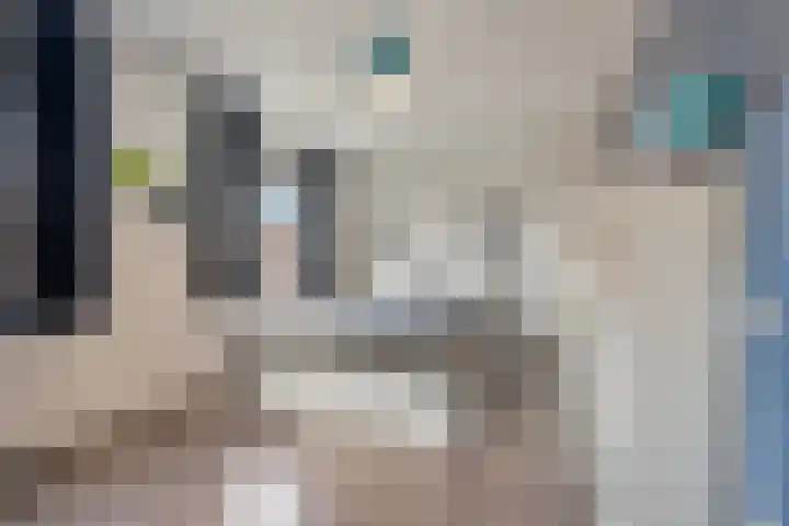 Zilvergloed 13 Rhoon thumbnail 33