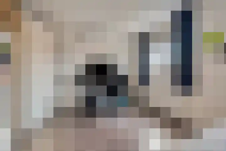 Zilvergloed 13 Rhoon thumbnail 34