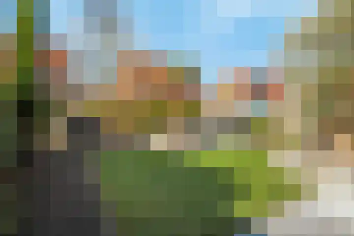 Zilvergloed 13 Rhoon thumbnail 39