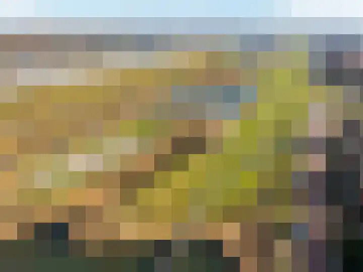 Zilvergloed 13 Rhoon thumbnail 44