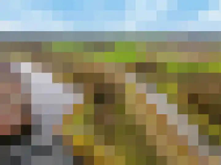 Zilvergloed 13 Rhoon thumbnail 45