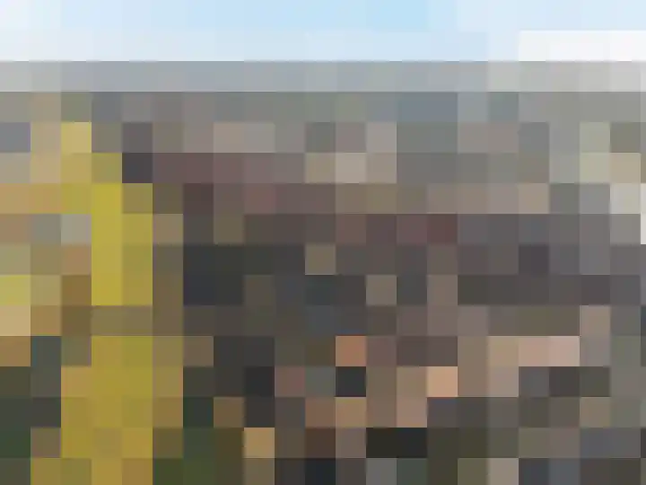 Zilvergloed 13 Rhoon thumbnail 46