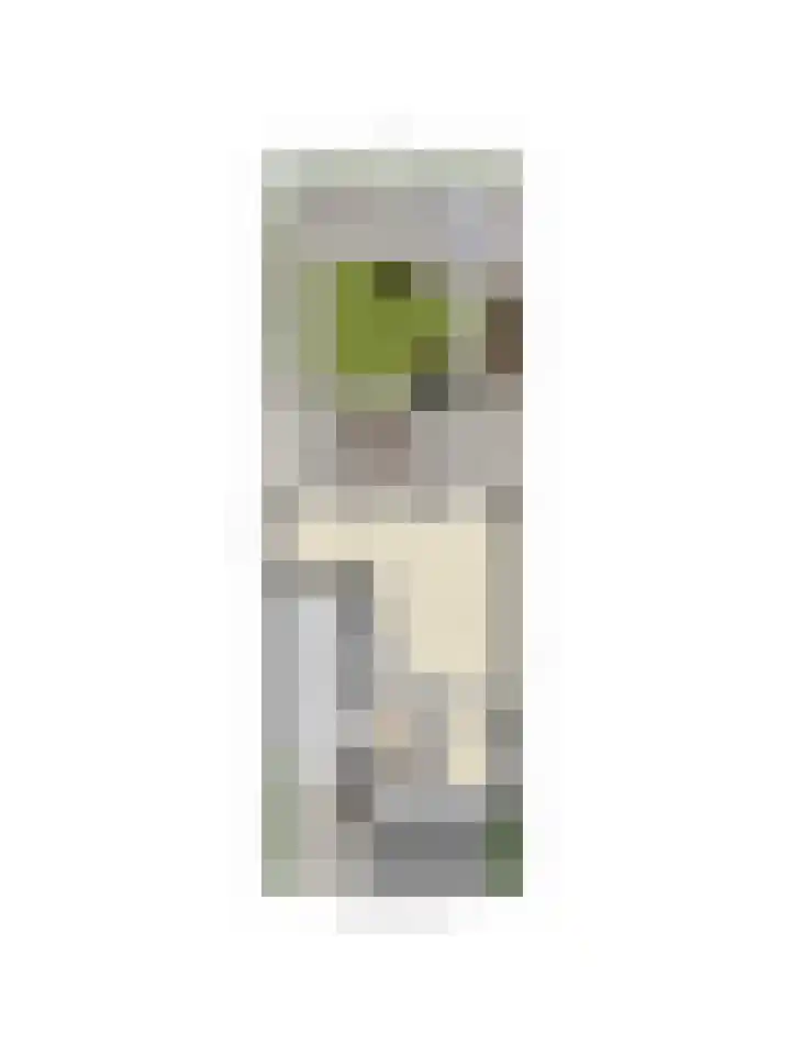 Zilvergloed 13 Rhoon thumbnail 47