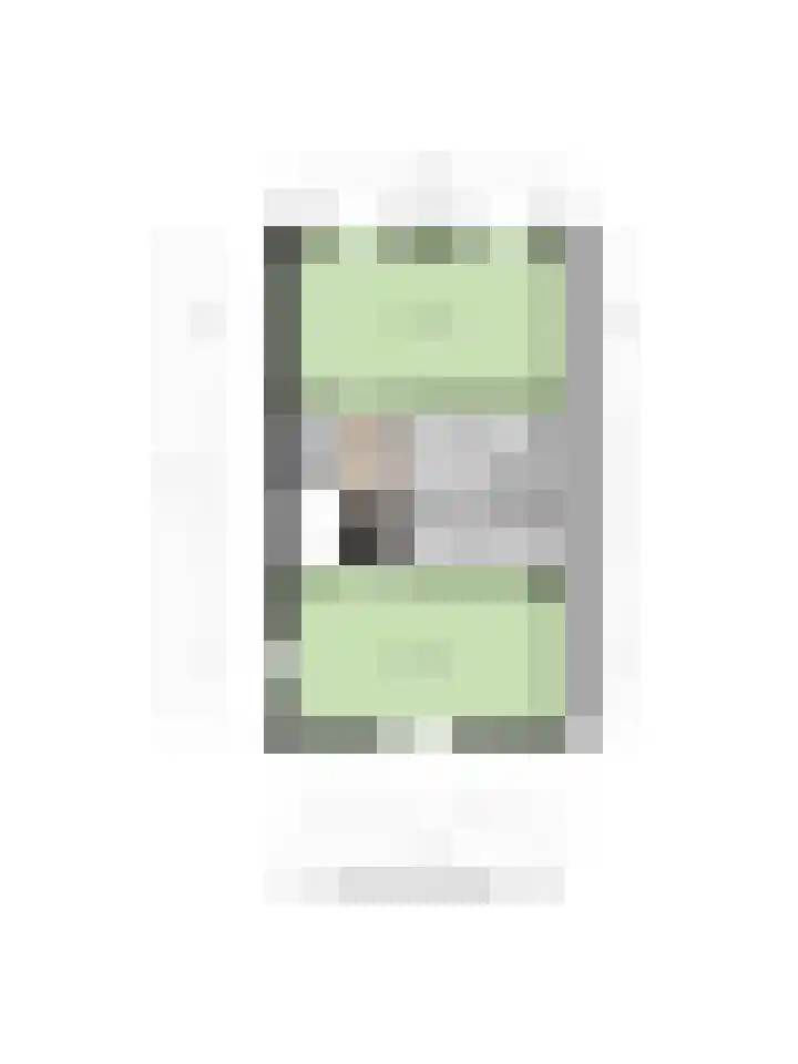 Zilvergloed 13 Rhoon thumbnail 53