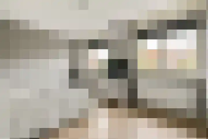 Zilvergloed 27 Rhoon thumbnail 11