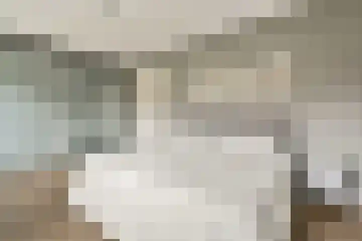 Zilvergloed 27 Rhoon thumbnail 12