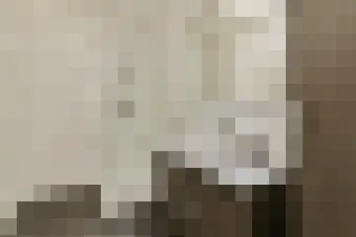 Zilvergloed 27 Rhoon thumbnail 13