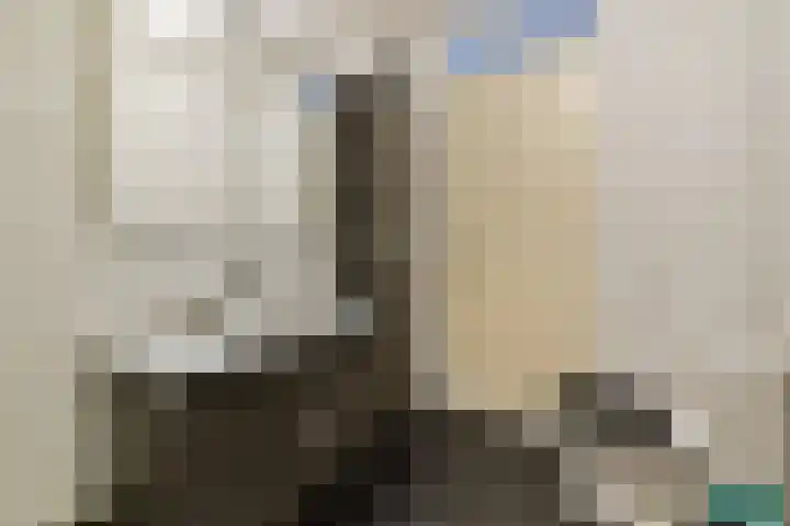 Zilvergloed 27 Rhoon thumbnail 14