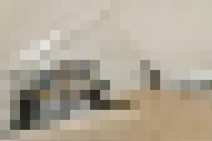 Zilvergloed 27 Rhoon thumbnail 19