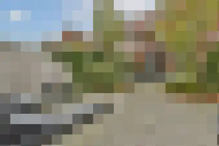 Zilvergloed 27 Rhoon thumbnail 21