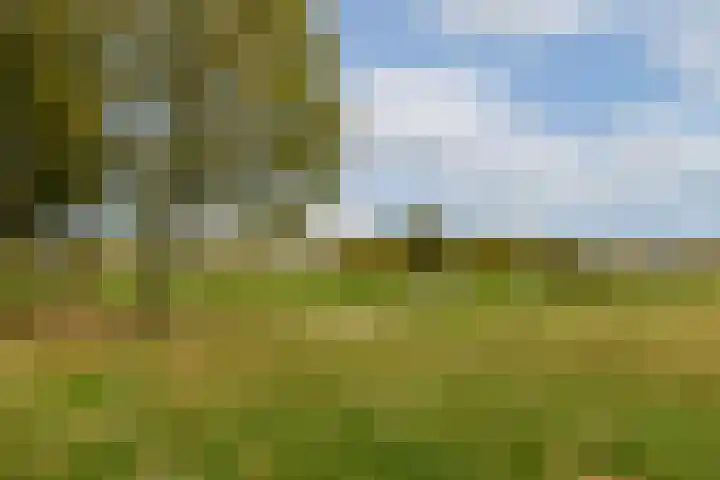 Zilvergloed 27 Rhoon thumbnail 24